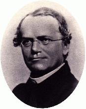 Johann Mendel. Iconographia Mendeliana, Brno 1965.