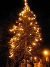 Slavnostní rozsvícení vánočního stromu v Brně-Jehnicích